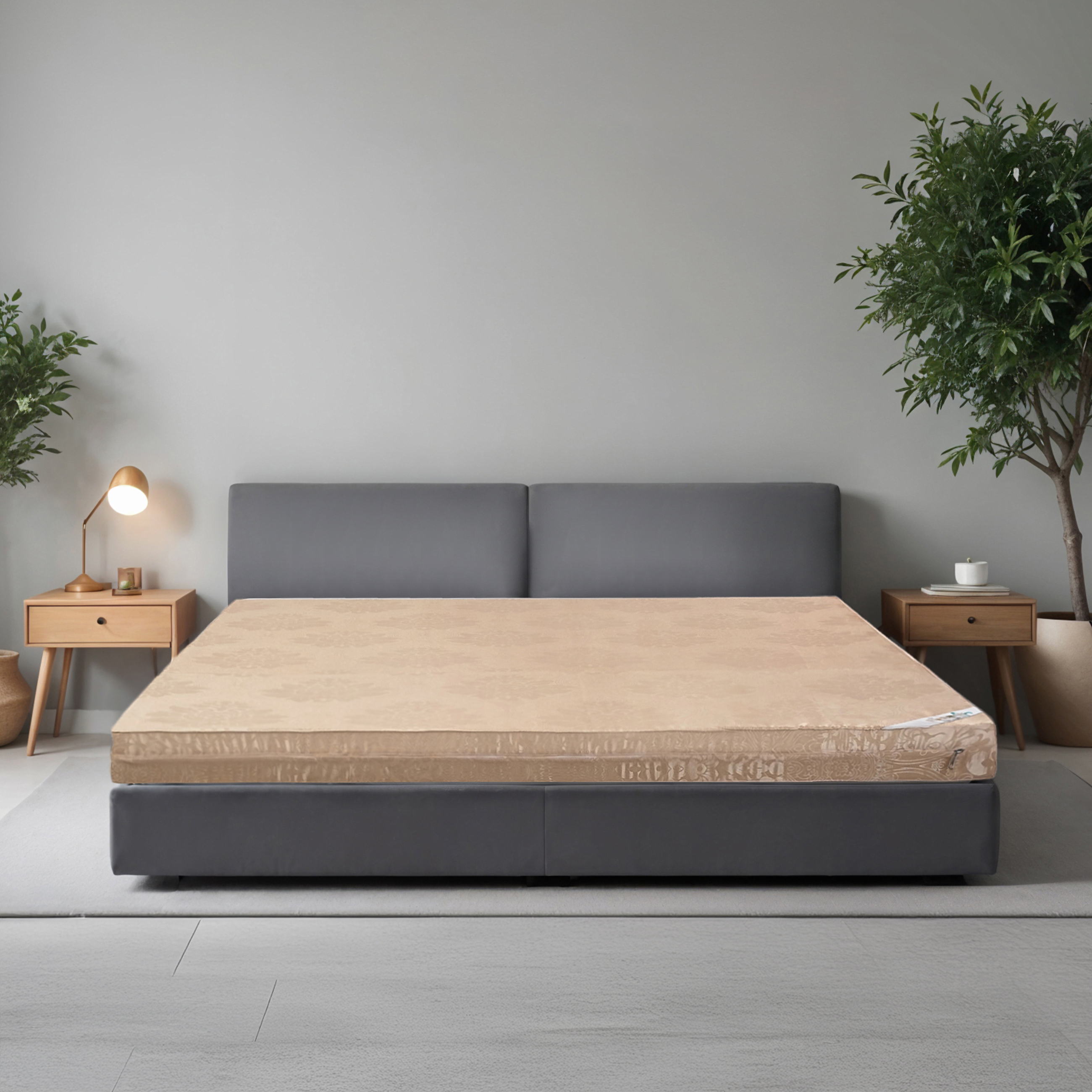 Đệm bông ép Everon